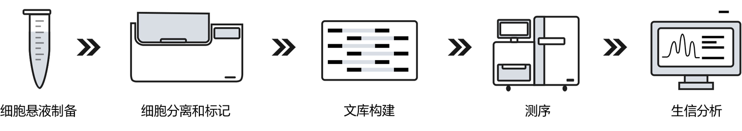 service-plate3-pic1.jpg