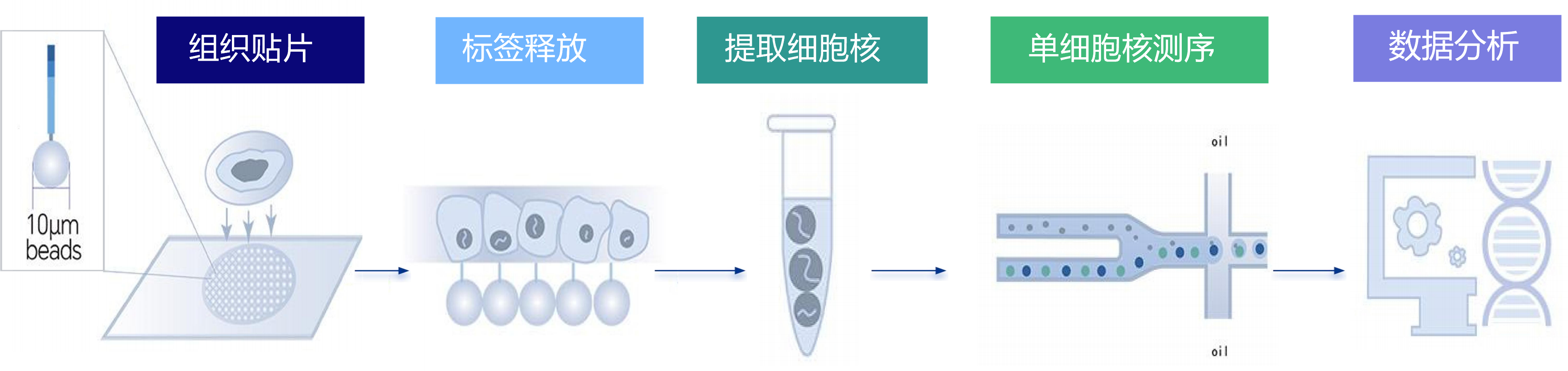 图10.png